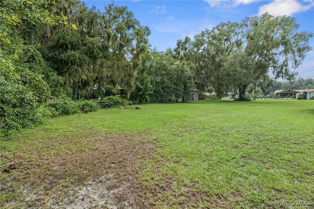 6694 S Merleing Loop, Floral City, Florida image 18