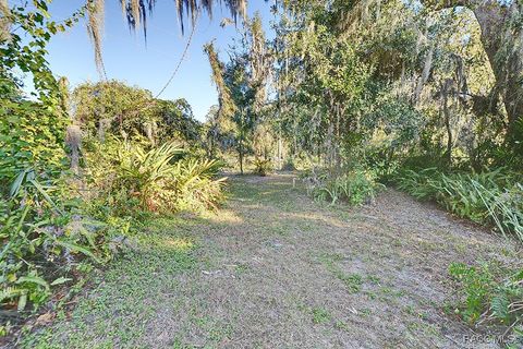 A home in Hernando