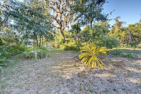 A home in Hernando