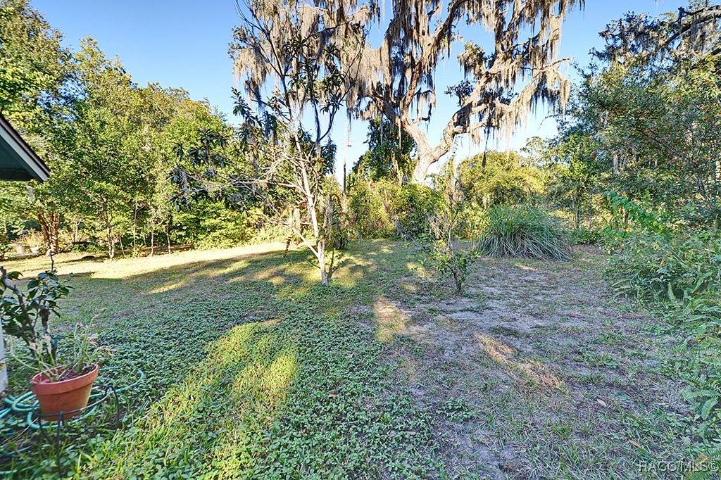 2945 N Kent Point, Hernando, Florida image 28