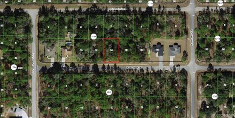 Vacant Land For Sale - 1625 W Dolores Drive<br/> Citrus Springs, FL 34434