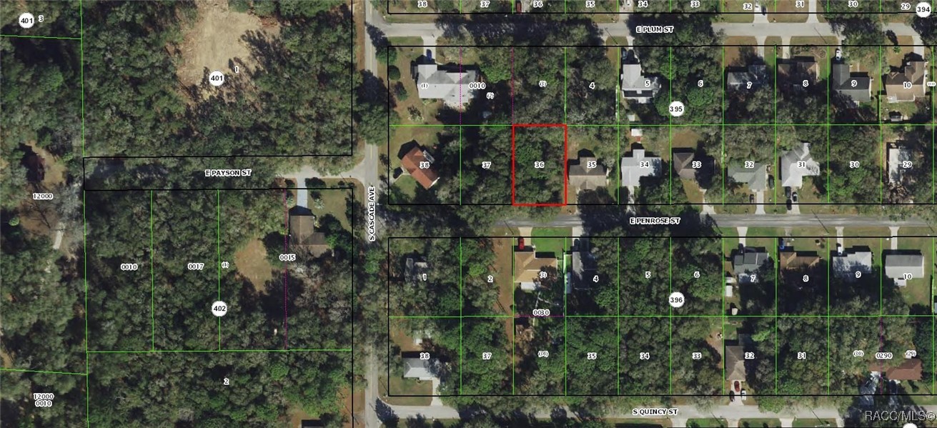 6033 E Penrose Street, Inverness, Florida image 1