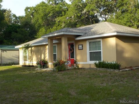 Homes For Sale - 6580 N Sourgum Terrace<br/> Hernando, FL 34442