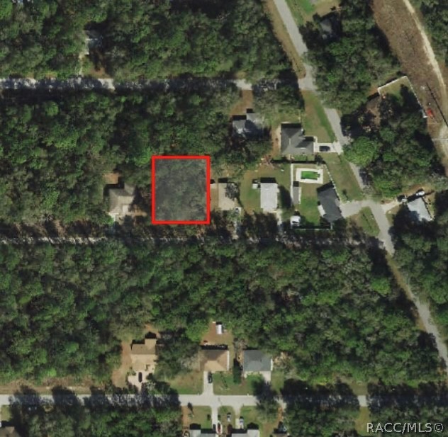 3357 E Robert Street, Inverness, Florida image 1