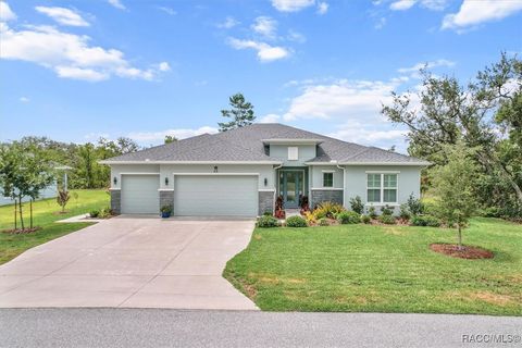45 Black Willow Street Homosassa FL 34446