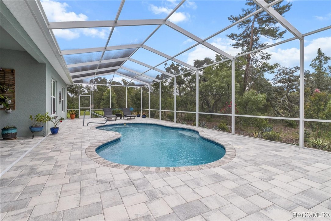 45 Black Willow Street