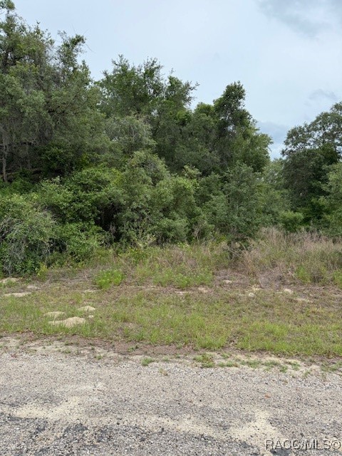 7911 N. Walton Terrace, Citrus Springs, New York image 1