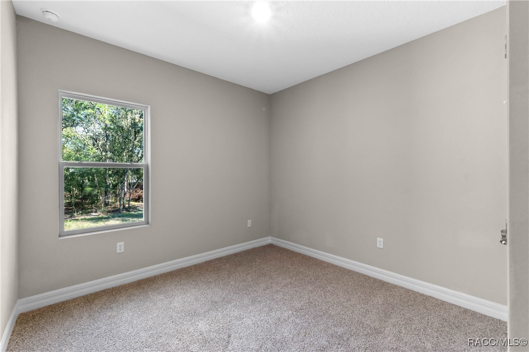 61 N Fitzpatrick Avenue, Inverness, Florida image 13