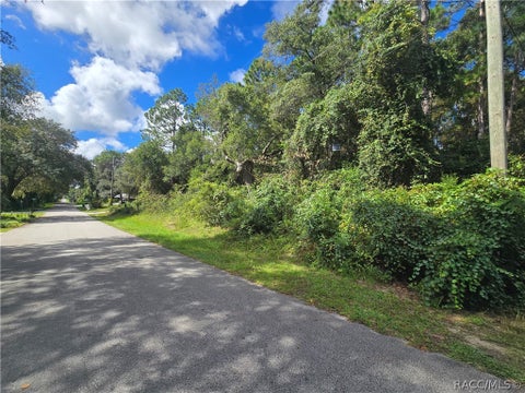 Vacant Land For Sale - 996 N Charles Avenue<br/> Inverness, FL 34453