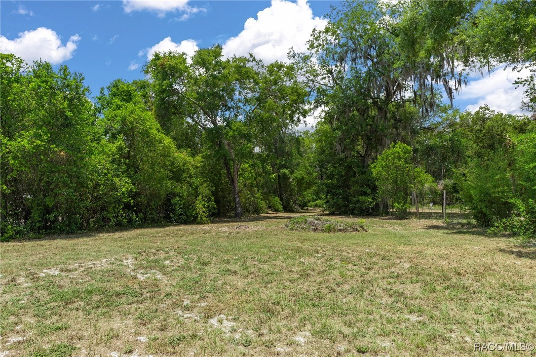 10575 E Gobbler Drive, Floral City, New York image 9