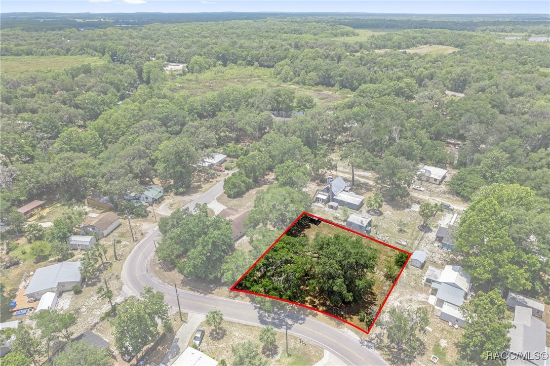 10575 E Gobbler Drive, Floral City, New York image 2