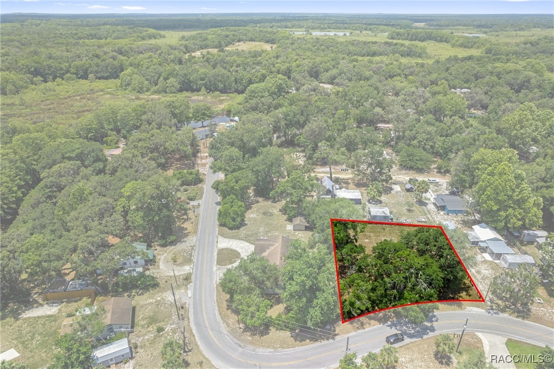 10575 E Gobbler Drive, Floral City, New York image 3