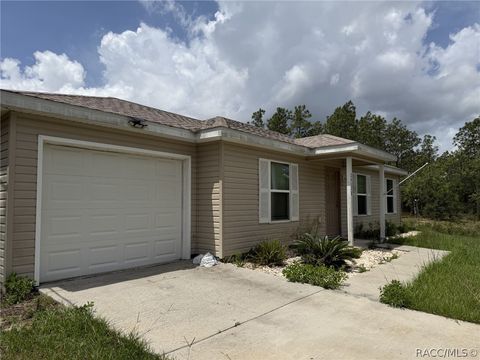 Homes For Sale - 24178 NW Luna Ave<br/> Dunnellon, FL 34431