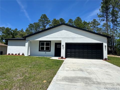 Homes For Sale - 1557 W Elder Lane<br/> Dunnellon, FL 34434