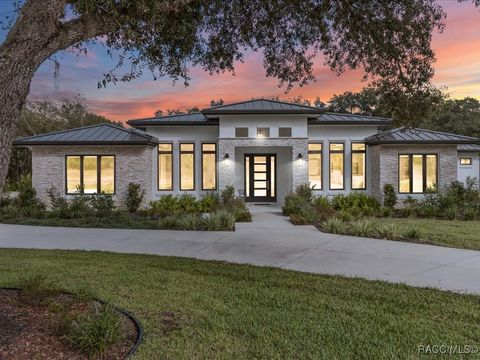 3937 W Shadow Creek Loop Lecanto FL 34461