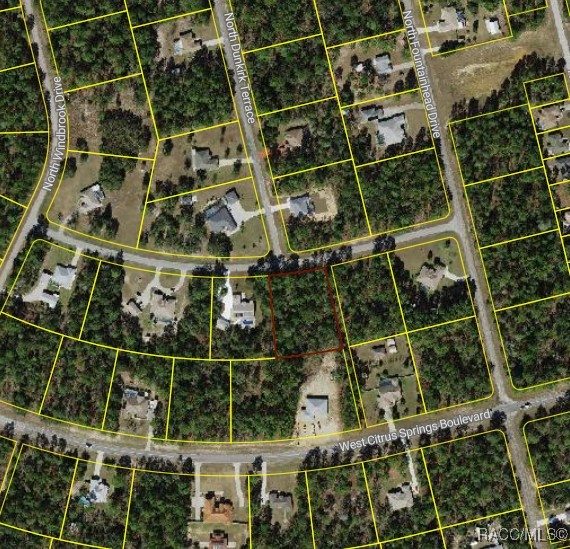 3614 W Giraffe Drive, Citrus Springs, Florida image 4