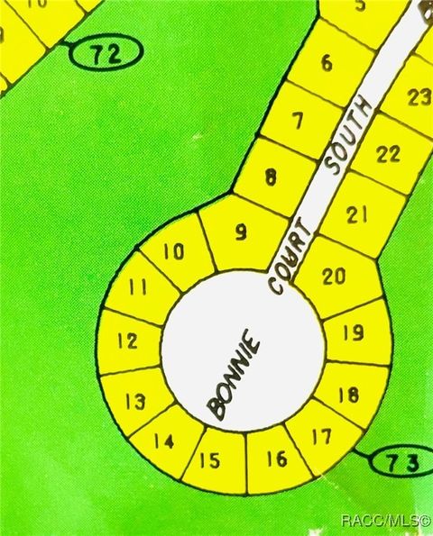 Vacant Land For Sale - 17 Bonnie Court<br/> Homosassa, FL 34446