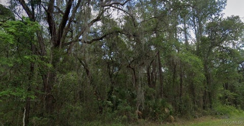 Vacant Land For Sale - 893 E Byrd Loop<br/> Dunnellon, FL 34434