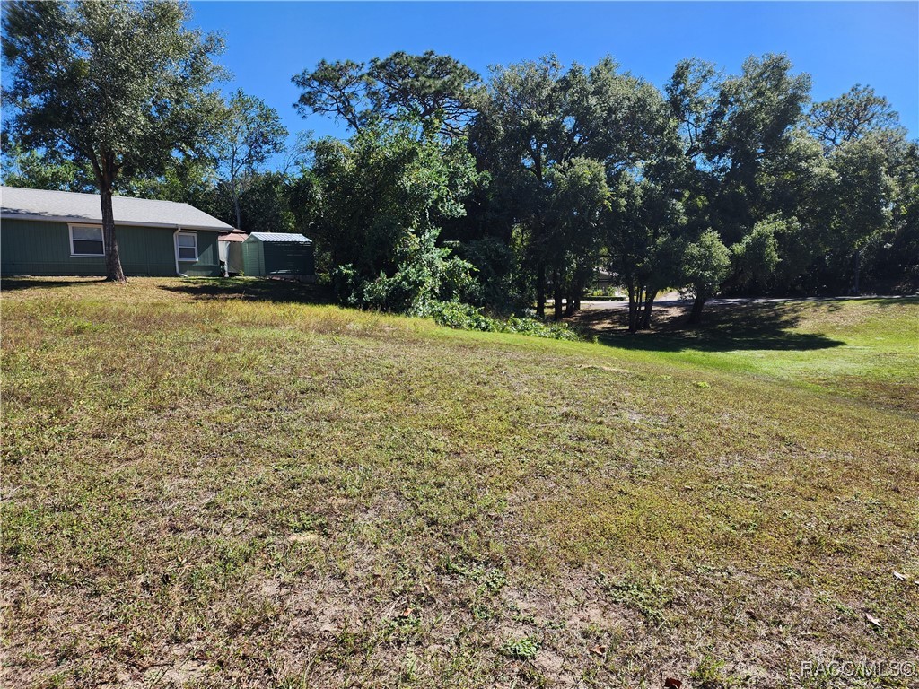 406 W Circlewood Street, Inverness, Florida image 1