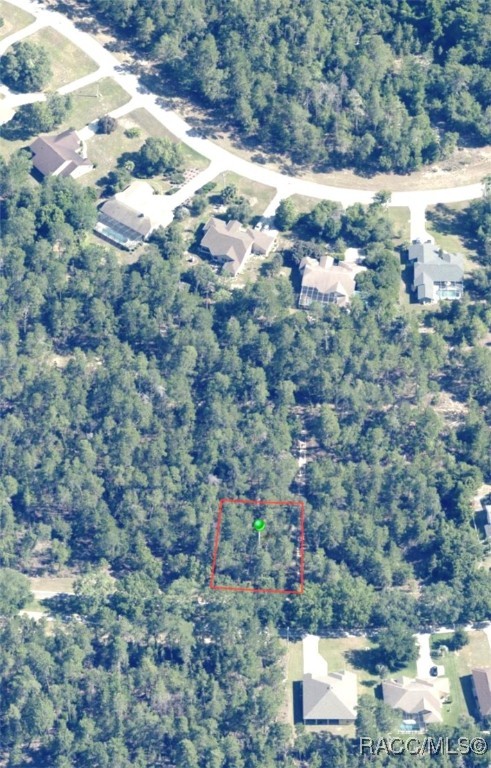 15 Oak Village Boulevard #1305, Homosassa, New York image 2
