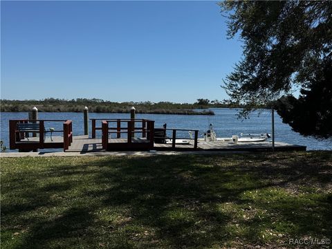 11996 W Bald Eagle Court Crystal River FL 34429
