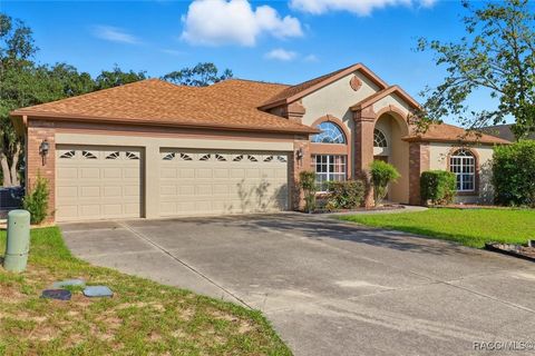 63 N Youngtree Point Lecanto FL 34461