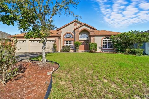 63 N Youngtree Point Lecanto FL 34461