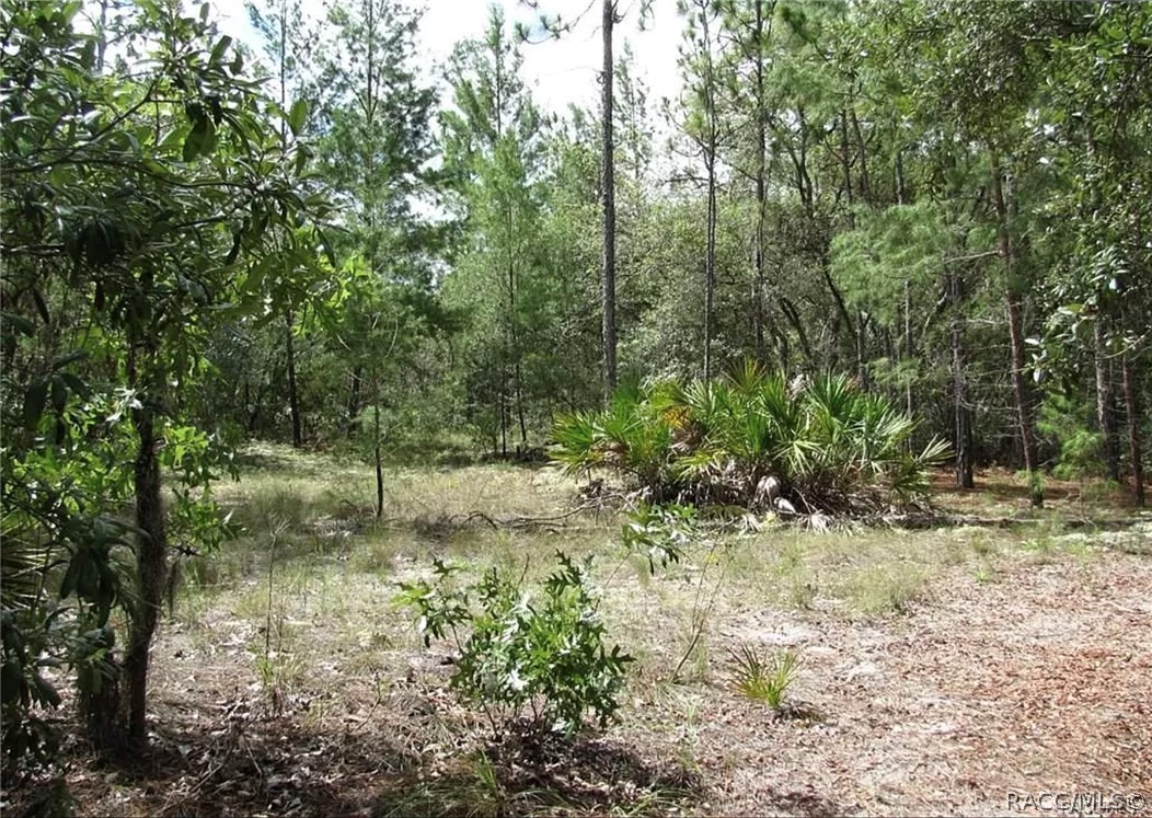 6496 N Bernzott Point, Dunnellon, New York image 13