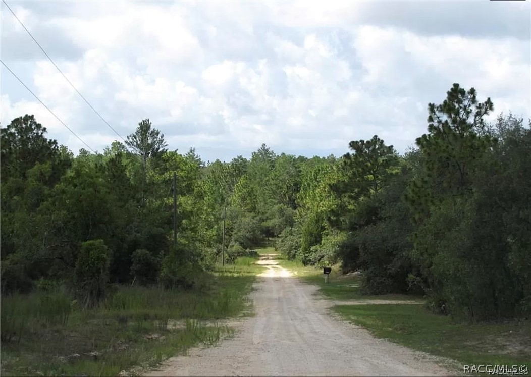 6496 N Bernzott Point, Dunnellon, New York image 9