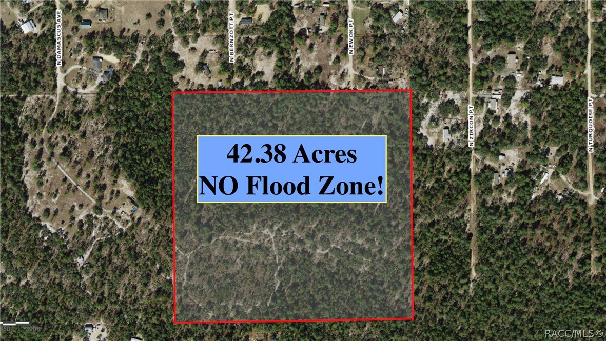 6496 N Bernzott Point, Dunnellon, New York image 1