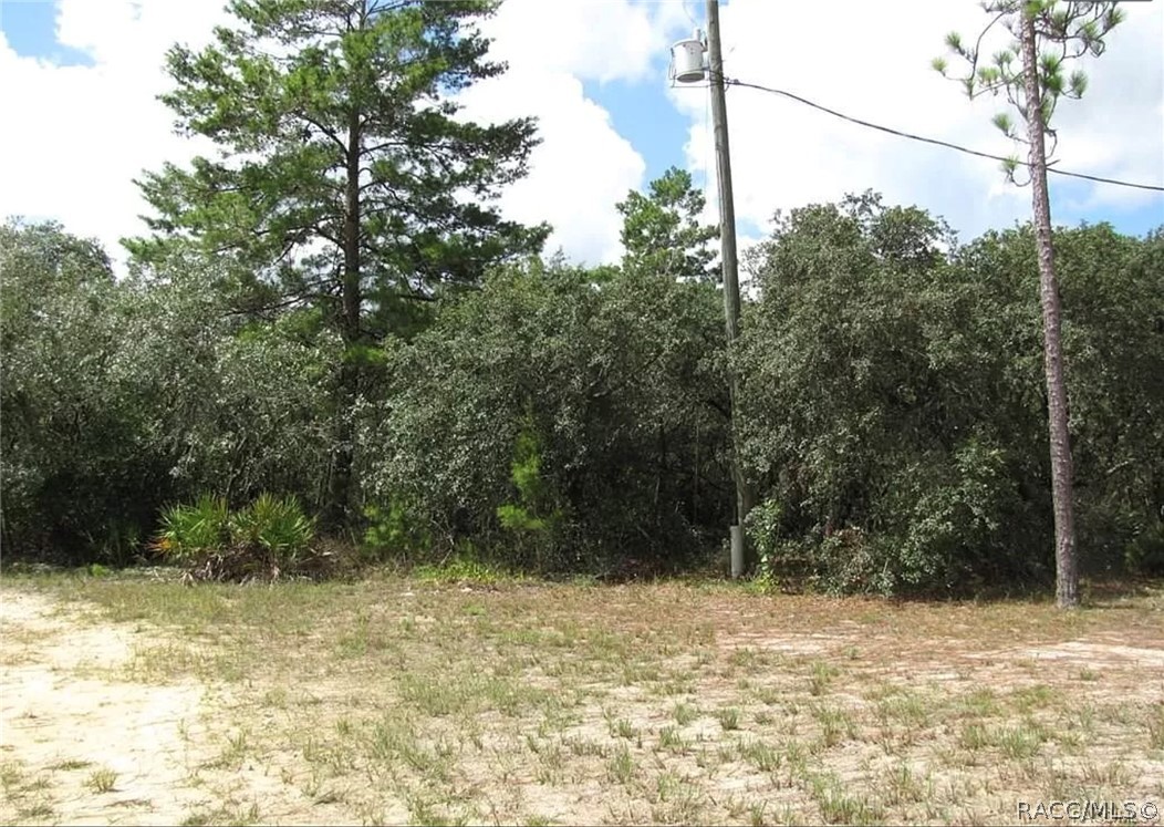 6496 N Bernzott Point, Dunnellon, New York image 18