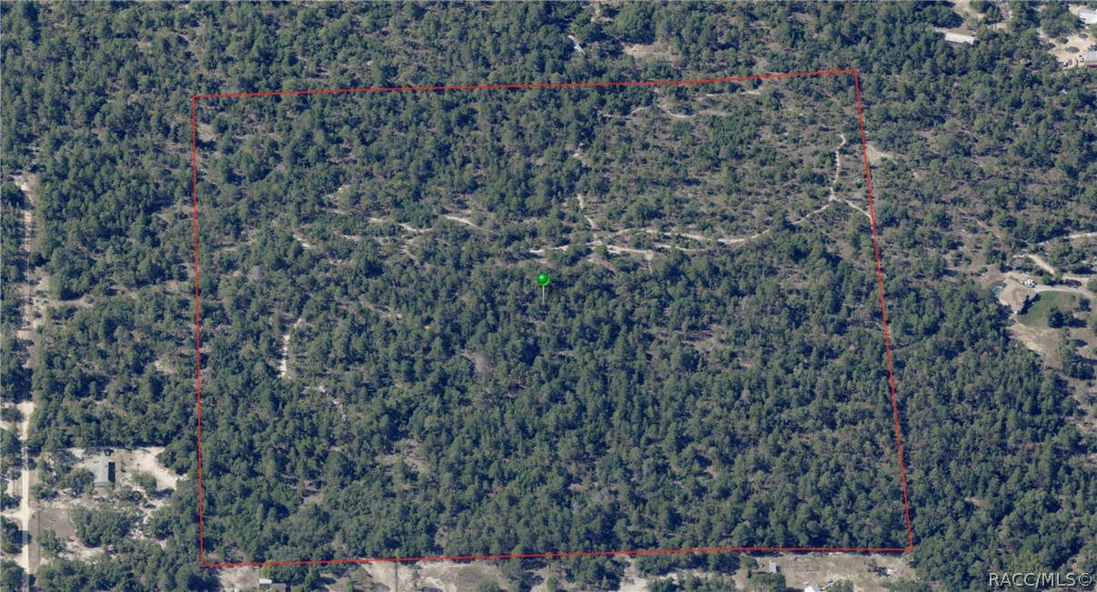 6496 N Bernzott Point, Dunnellon, New York image 5