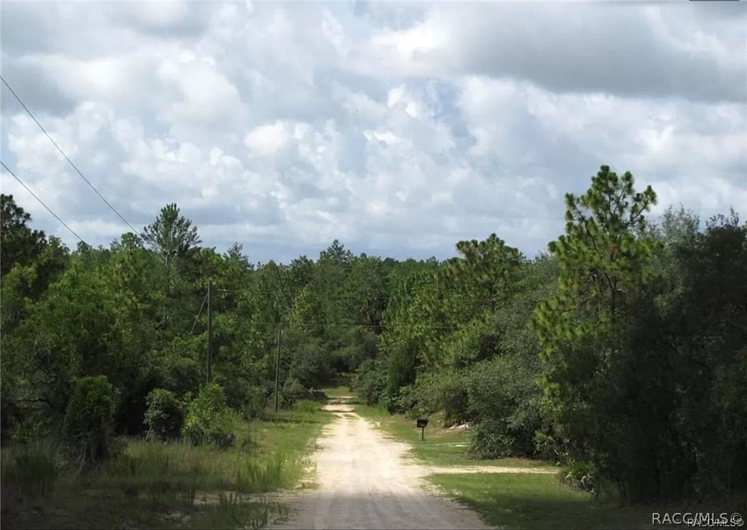 6496 N Bernzott Point, Dunnellon, New York image 10