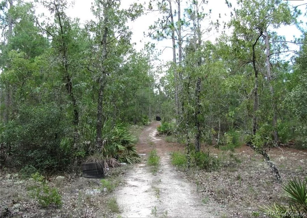 6496 N Bernzott Point, Dunnellon, New York image 15