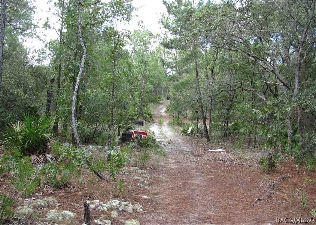 6496 N Bernzott Point, Dunnellon, New York image 14