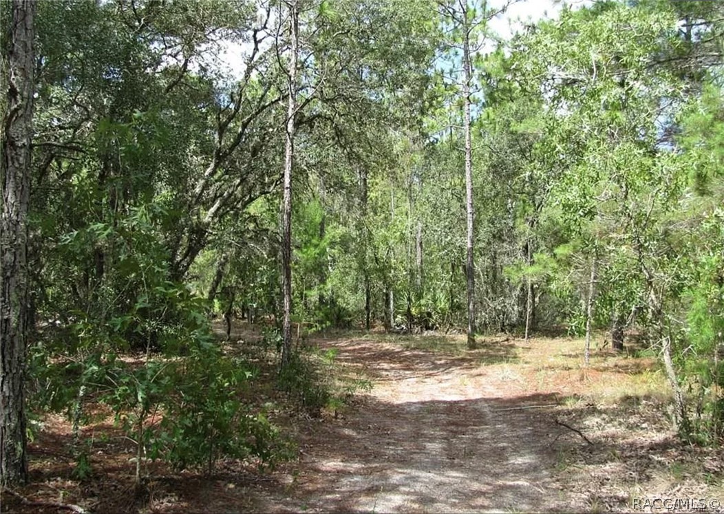 6496 N Bernzott Point, Dunnellon, New York image 11