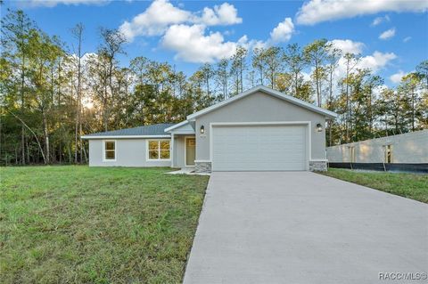 A home in Citrus Springs