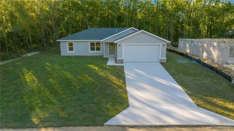 A home in Citrus Springs