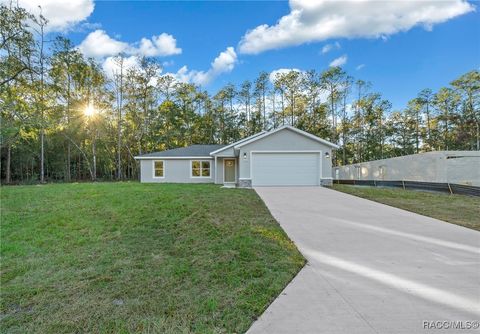 A home in Citrus Springs