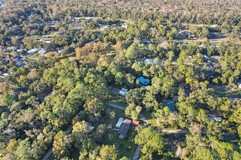 A home in Homosassa