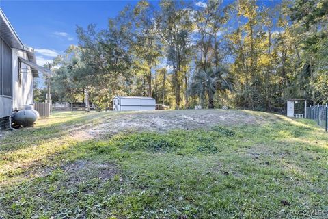 A home in Homosassa