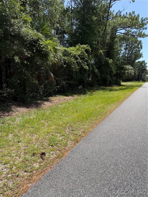 Vacant Land For Sale - 2692 W Sunrise Street<br/> Lecanto, FL 34461