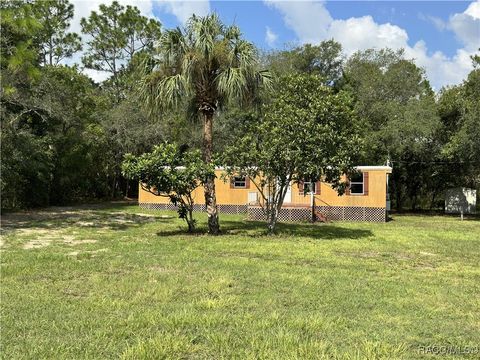 A home in Homosassa