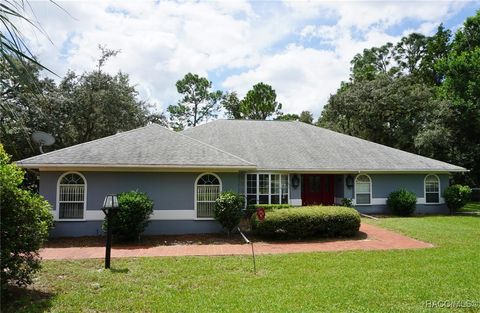 1320 N Greentree Terrace Lecanto FL 34461