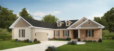 3818 W Birds Nest Drive Beverly Hills FL 34465