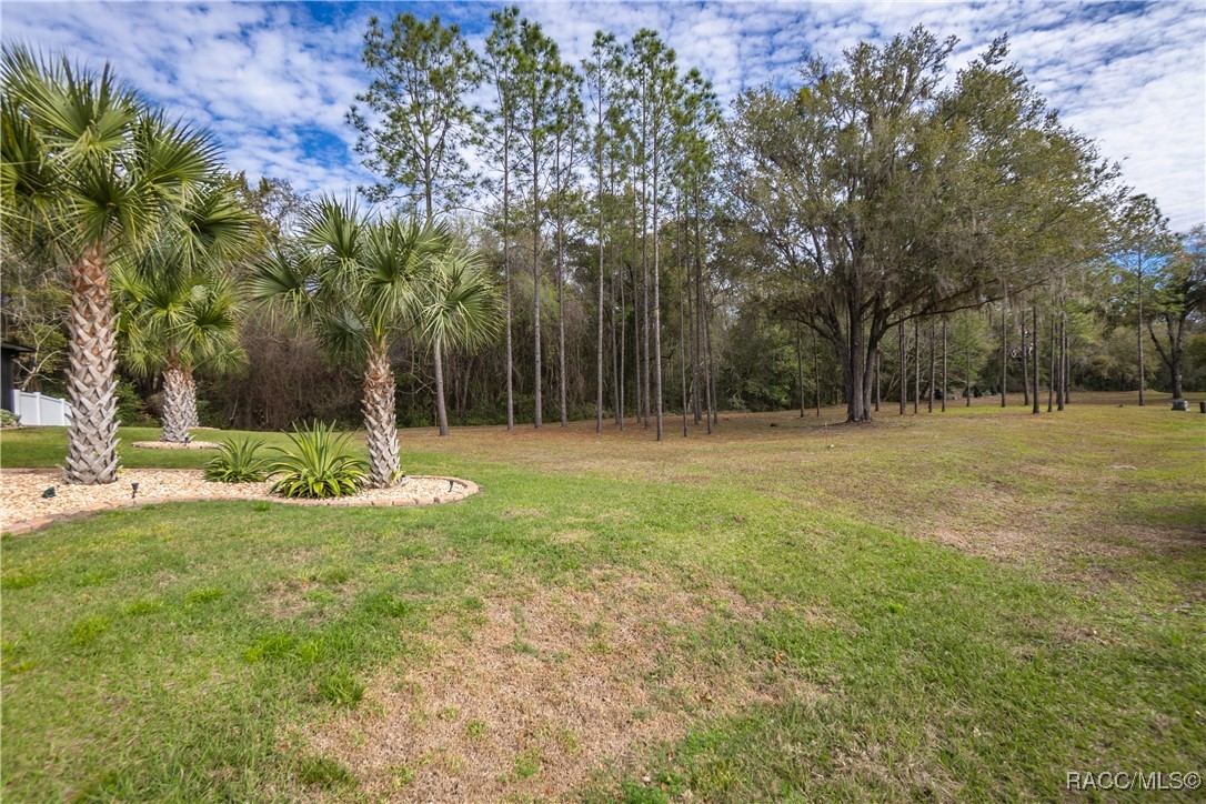 3397 N Chandler Drive, Hernando, Florida image 42