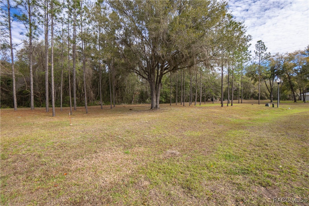 3397 N Chandler Drive, Hernando, Florida image 40