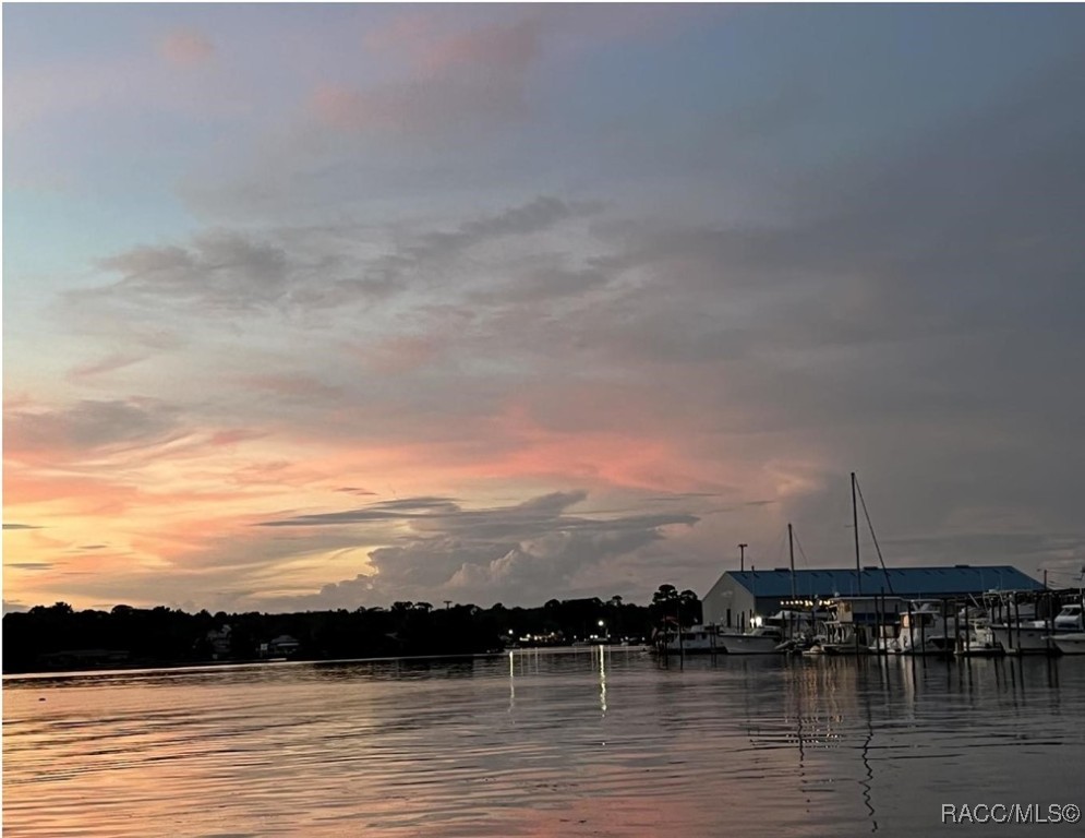 1283 N Osprey Point, Crystal River, Florida image 49