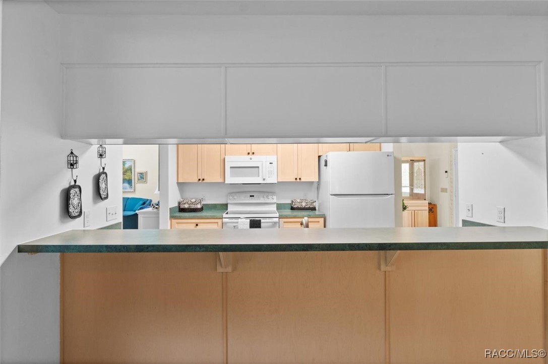 1149 N Rabeck Avenue, Lecanto, New York image 15