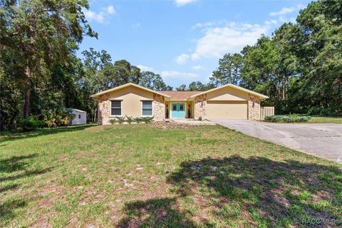 1149 N Rabeck Avenue Lecanto FL 34461